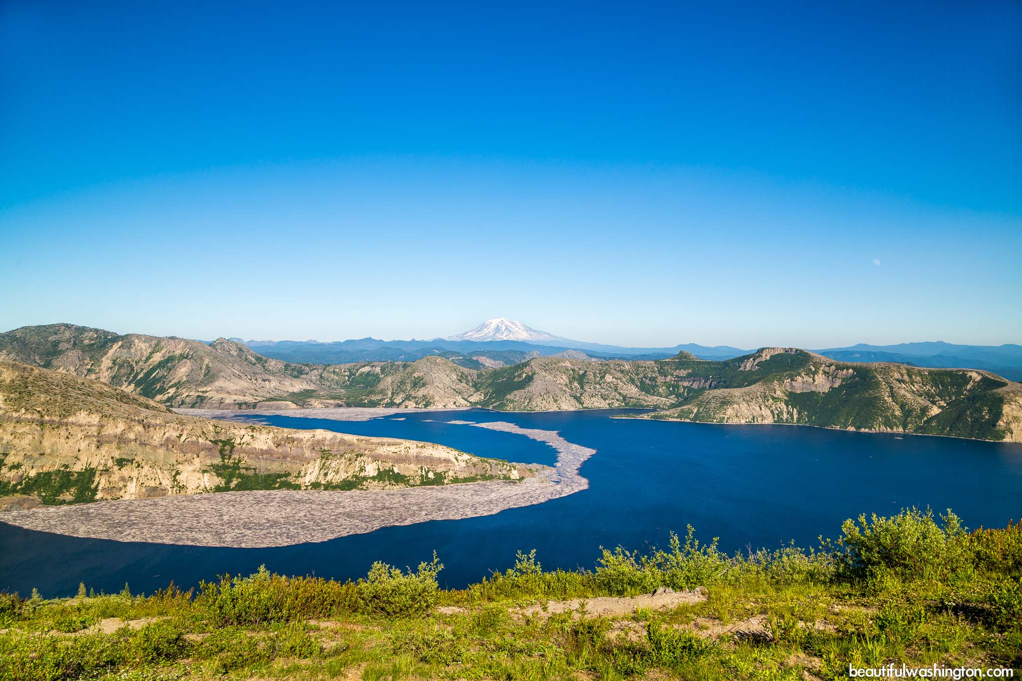 Photo from Mount St. Helens Area, Harry's Ridge Trail